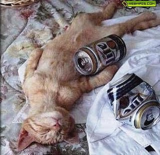 Depois da cachaça em casa!