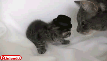 Não briga com teu filho, diacho!