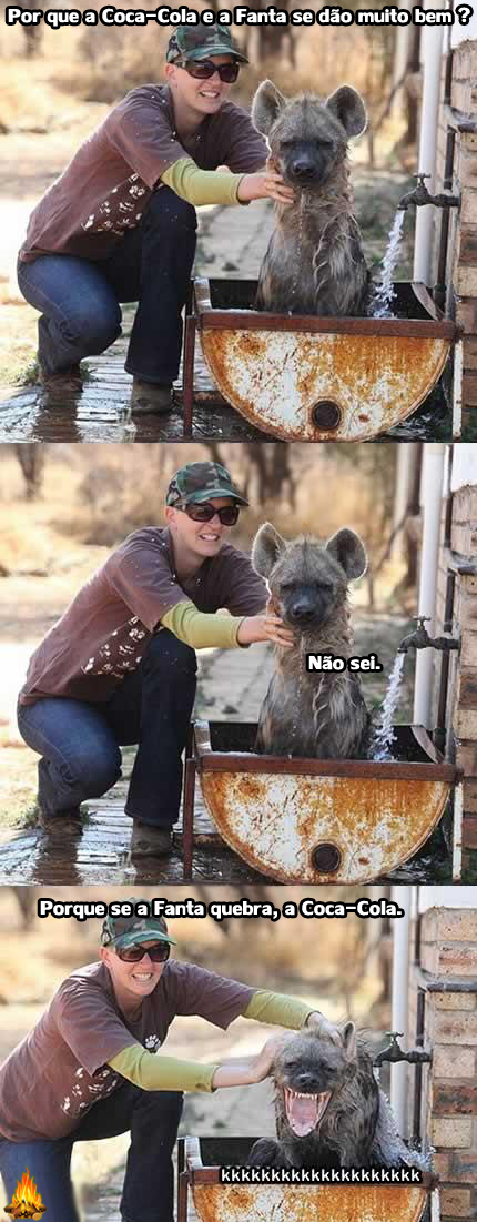 Contando a piada para uma animal!