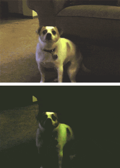 Astrogildo dança demais! Na versão normal e na versão tuntz-tuntz! =P